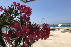 Otok Kornati