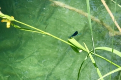 Nationalpark Krka