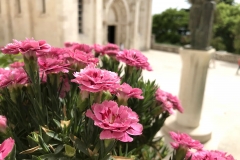 Sibenik Impressionen