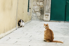 Sibenik Impressionen
