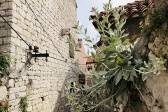 Sibenik Impressionen