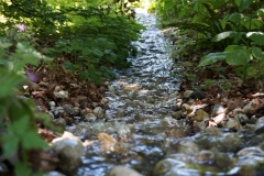 Nepal-Himalaya-Pavillon