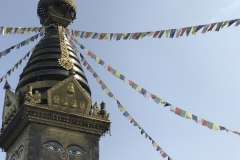 Nepaltempel Wörth/Wiesent