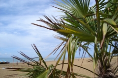 Lido di Jesolo