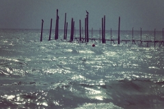 Komm ans Meer!