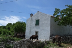 Kroatien