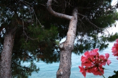 Kroatien