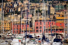 Genua