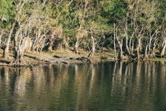 Florida Everglades