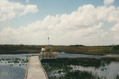 Florida USA - Everglades