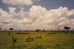 Tansania