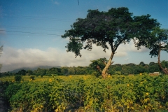 Tansania