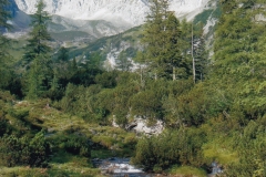 Königssee