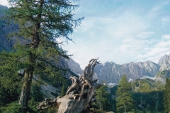 Königssee