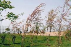 Türkei