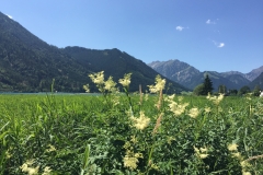 Zillertal