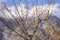 Königssee