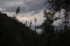 Ligurien