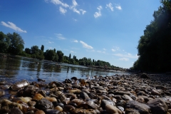An der Donau