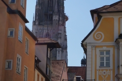 Regensburger Einblicke