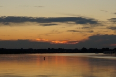An der Donau