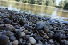 Am Wasser