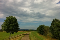 Naturwelt