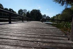 Wege