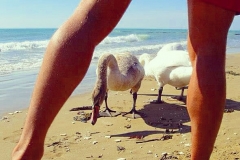 Am Meer