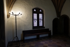 Regensburger Einblicke