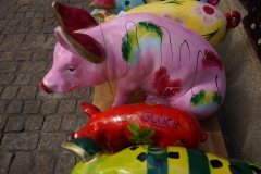Schwein gehabt