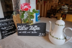 Regensburger Einblicke