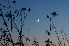 Mondlicht