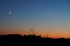 Abendschein