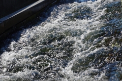 Wasserwelten