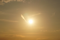 Sonnenlicht