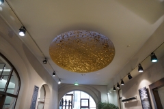 Regensburger Einblicke