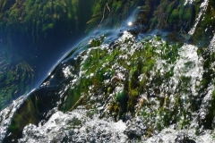 Wasserwelten