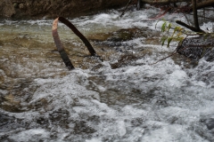 Wasserrauschen