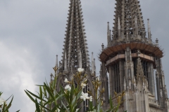 Regensburger Einblicke