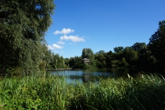 Naturwelt
