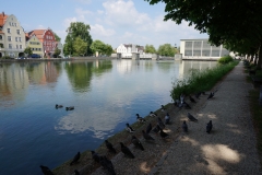 Landshuter Einblicke