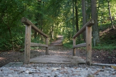 Wege