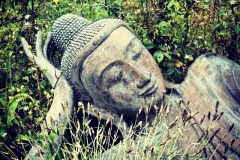 Buddhaystyle