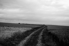 Feldweg