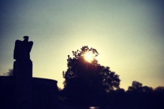 Am Adler