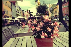 Nimm Platz