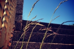 Natur im Blauen