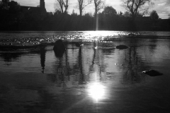 Reflektion