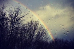 Regenbogen